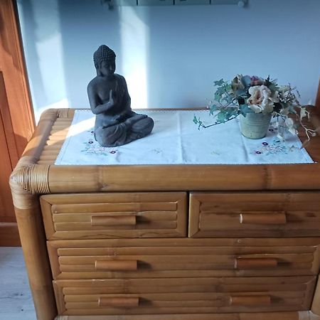A La Joie De Vivre Chez L'Habitant Banat 外观 照片